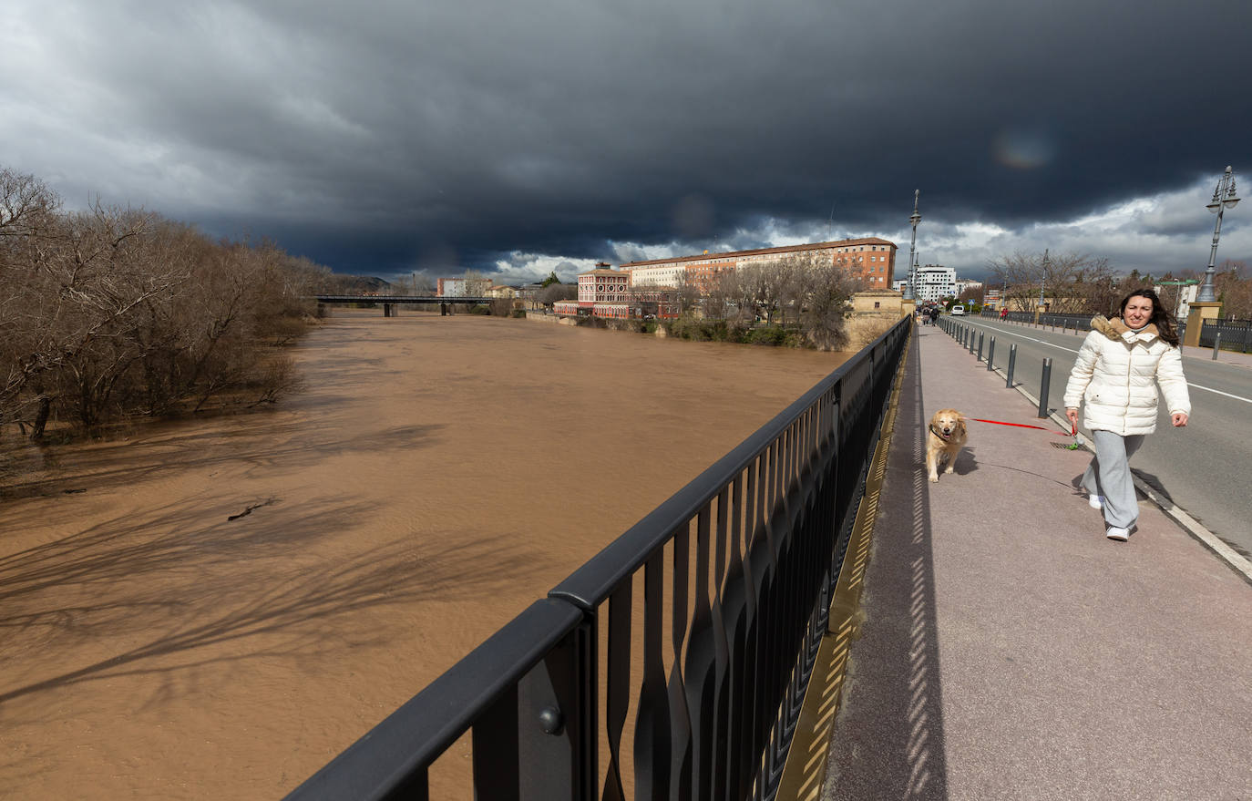 La crecida del Ebro en Logroño, en imágenes