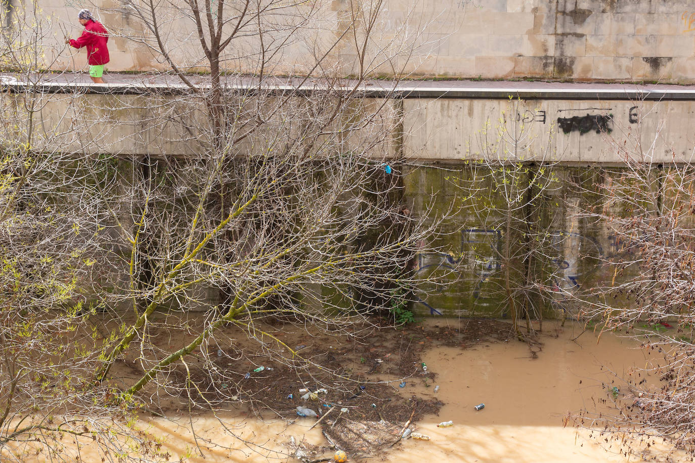 La crecida del Ebro en Logroño, en imágenes