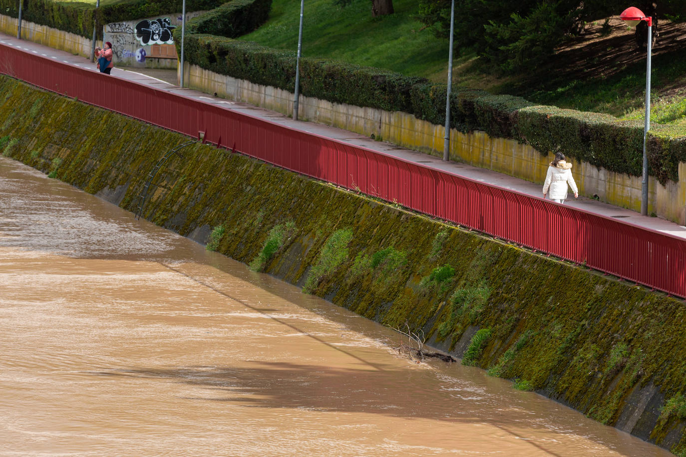 La crecida del Ebro en Logroño, en imágenes