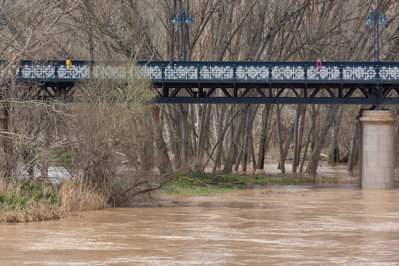 La crecida del Ebro en Logroño, en imágenes