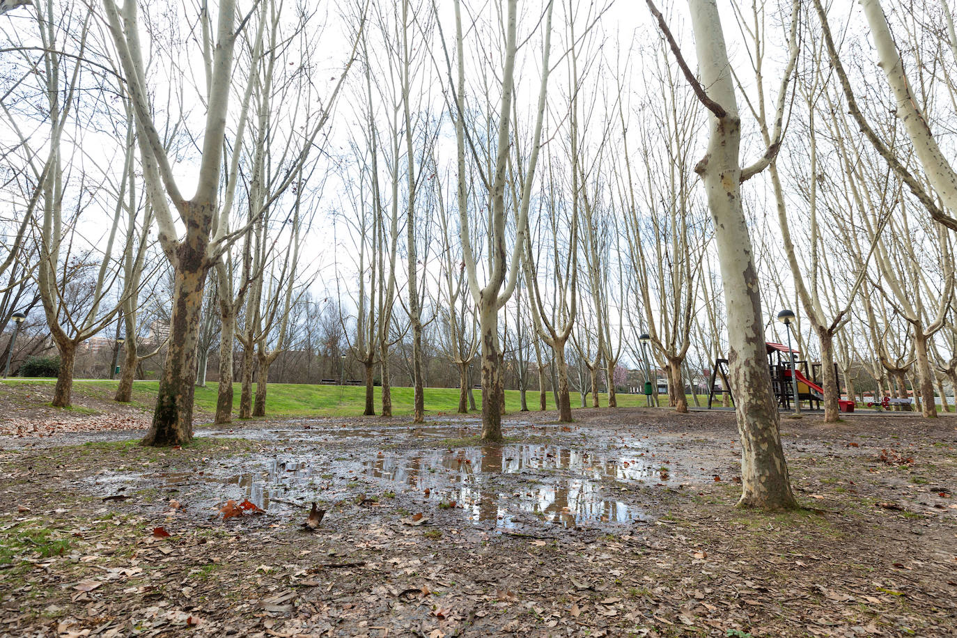 La crecida del Ebro en Logroño, en imágenes