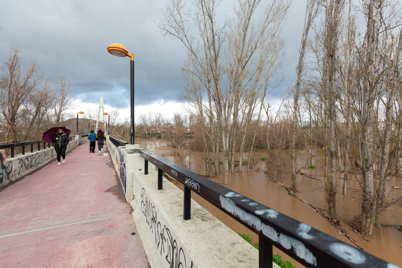 La crecida del Ebro en Logroño, en imágenes