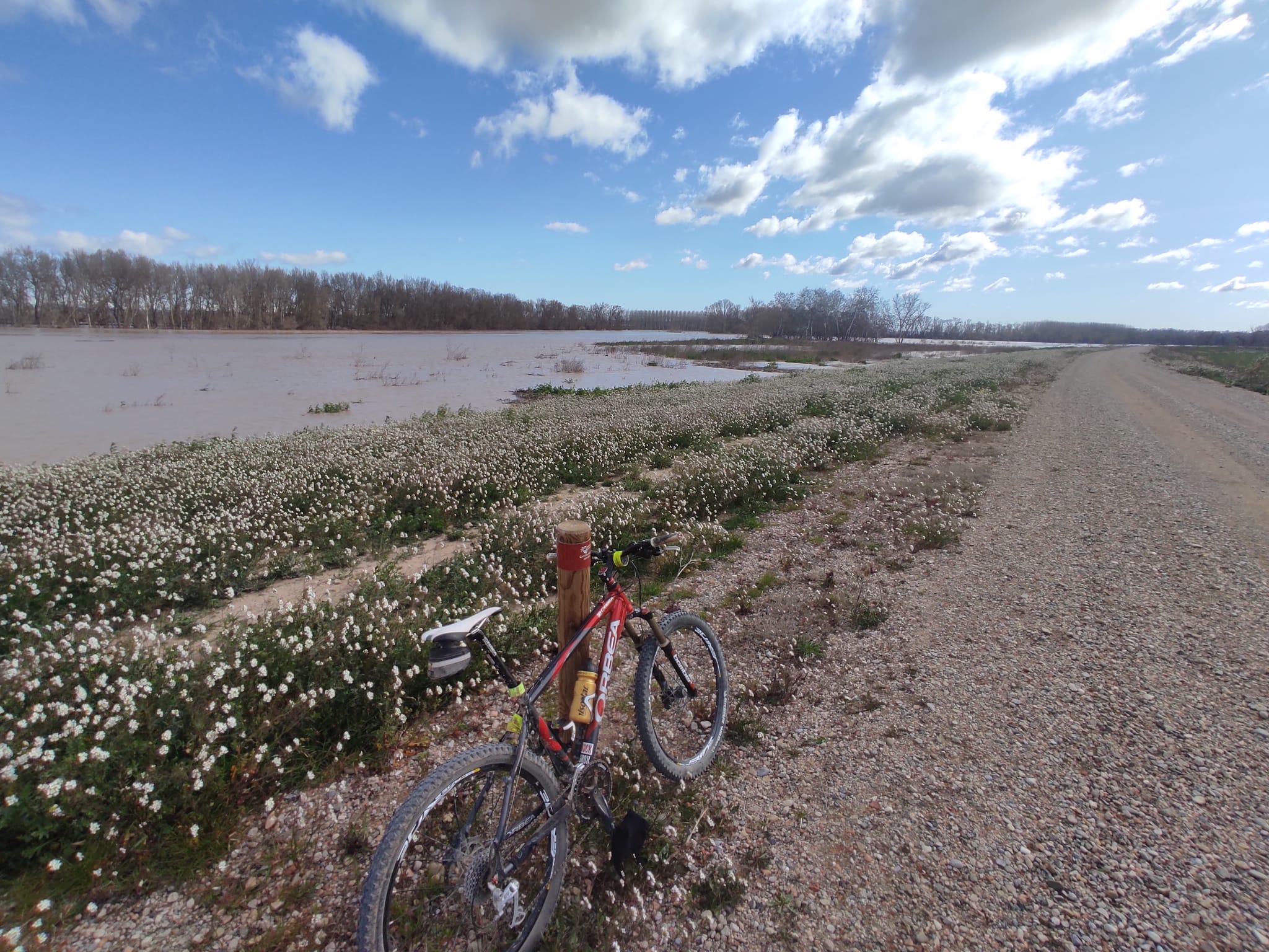 Crecida del Ebro a su paso por Alfaro