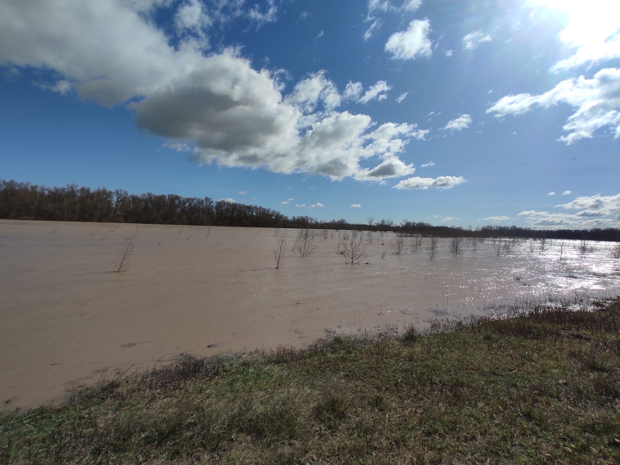 Crecida del Ebro a su paso por Alfaro