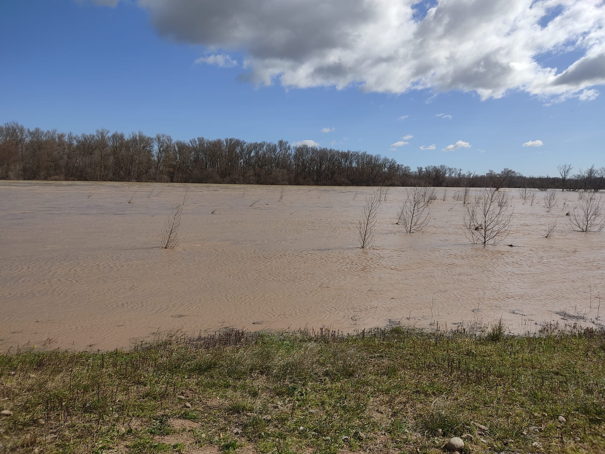 Crecida del Ebro a su paso por Alfaro