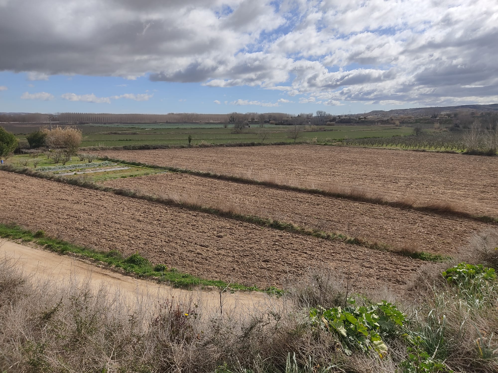 Crecida del Ebro a su paso por Alfaro