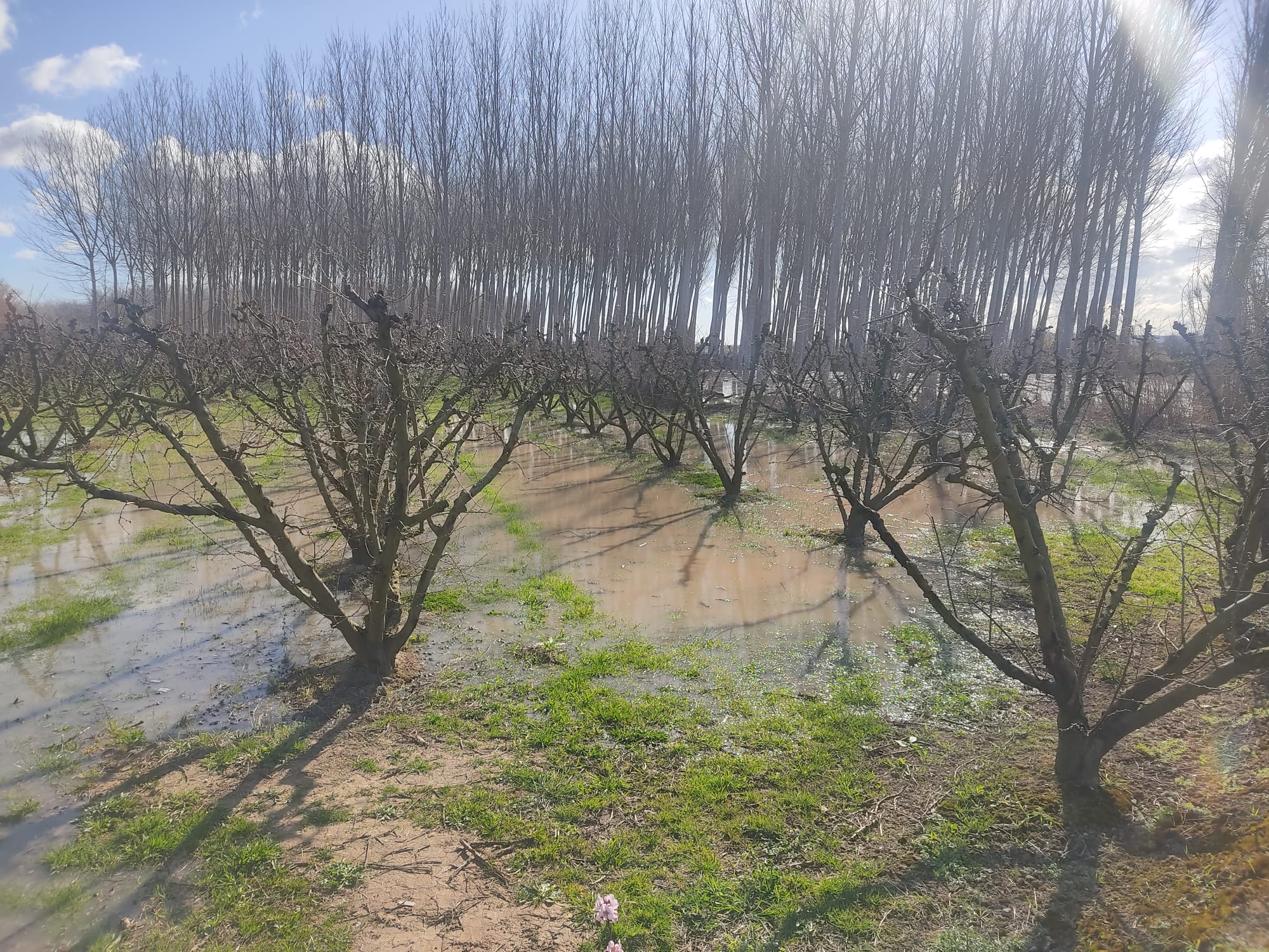 Crecida del Ebro a su paso por Alfaro