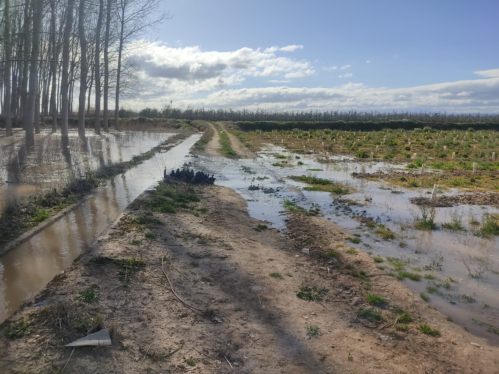 Crecida del Ebro a su paso por Alfaro