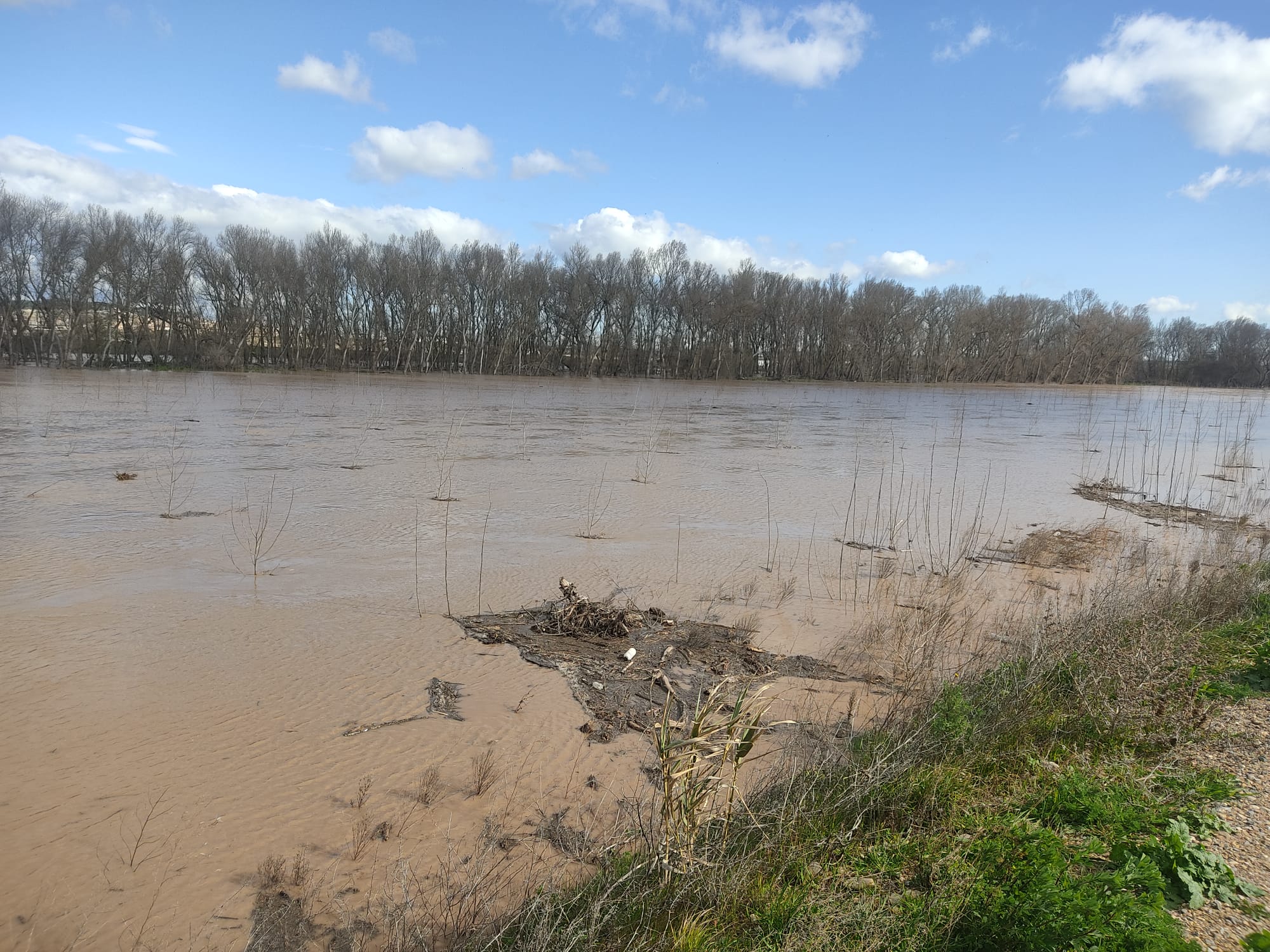 Crecida del Ebro a su paso por Alfaro