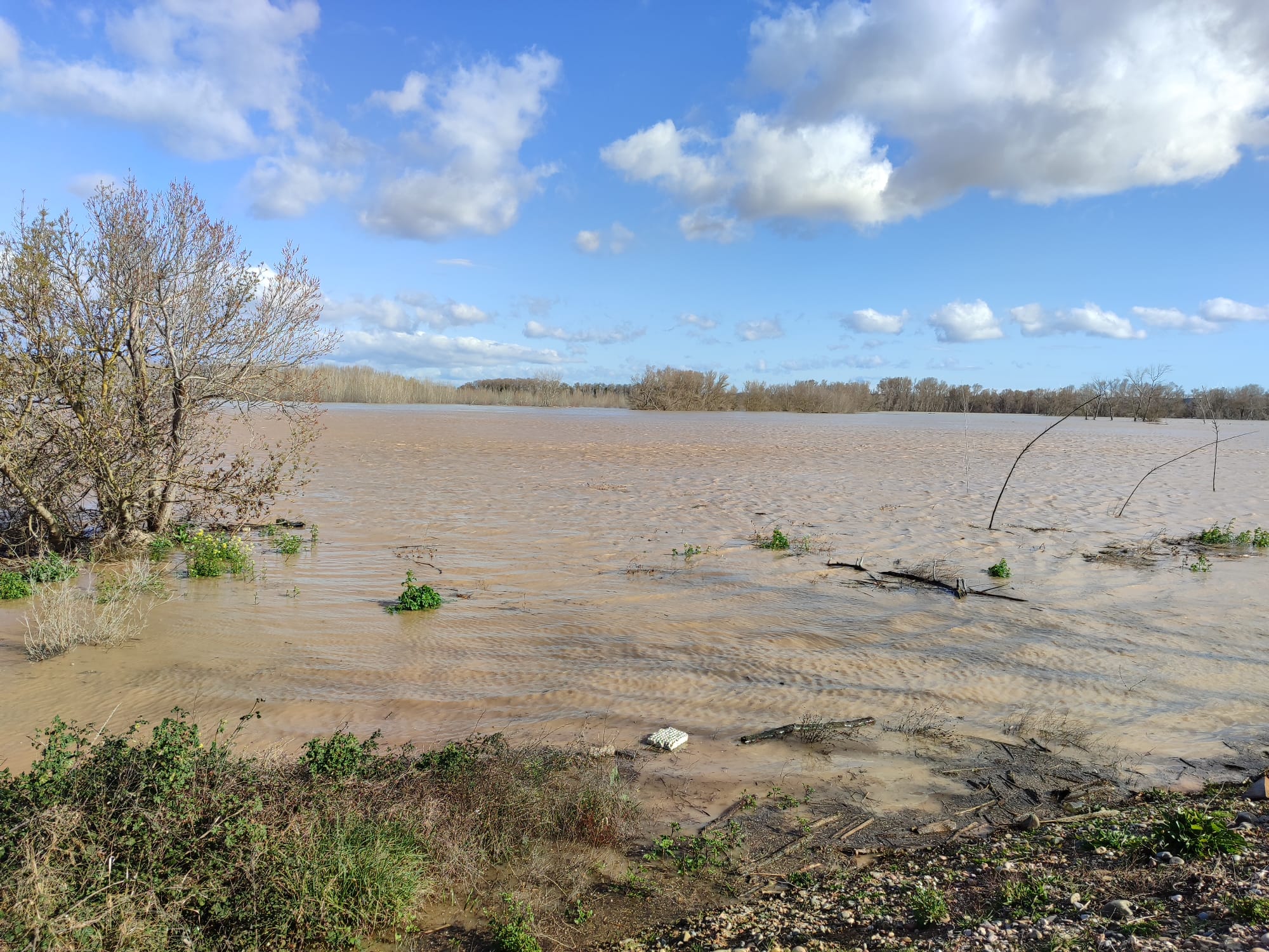 Crecida del Ebro a su paso por Alfaro