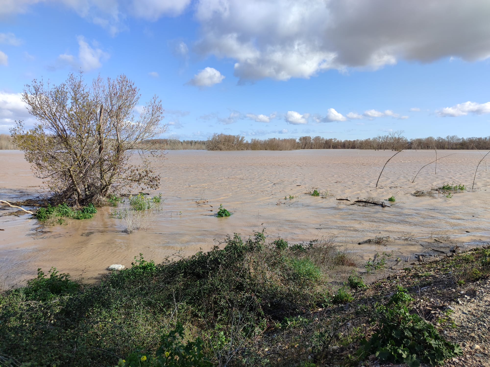 Crecida del Ebro a su paso por Alfaro