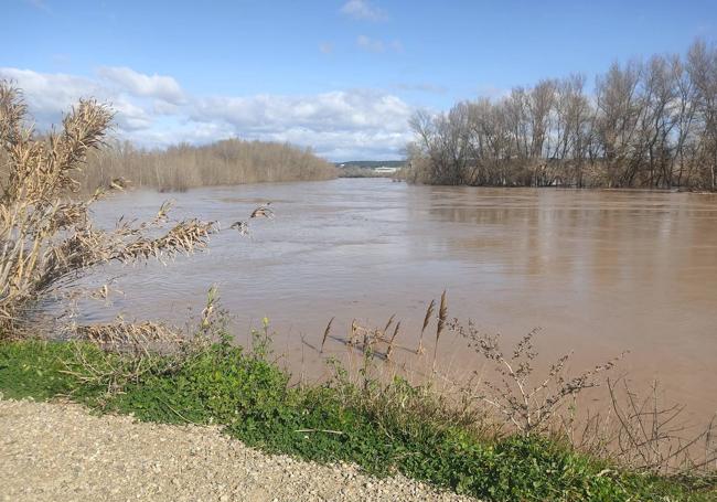 El río Ebro, a su paso por Alfaro.