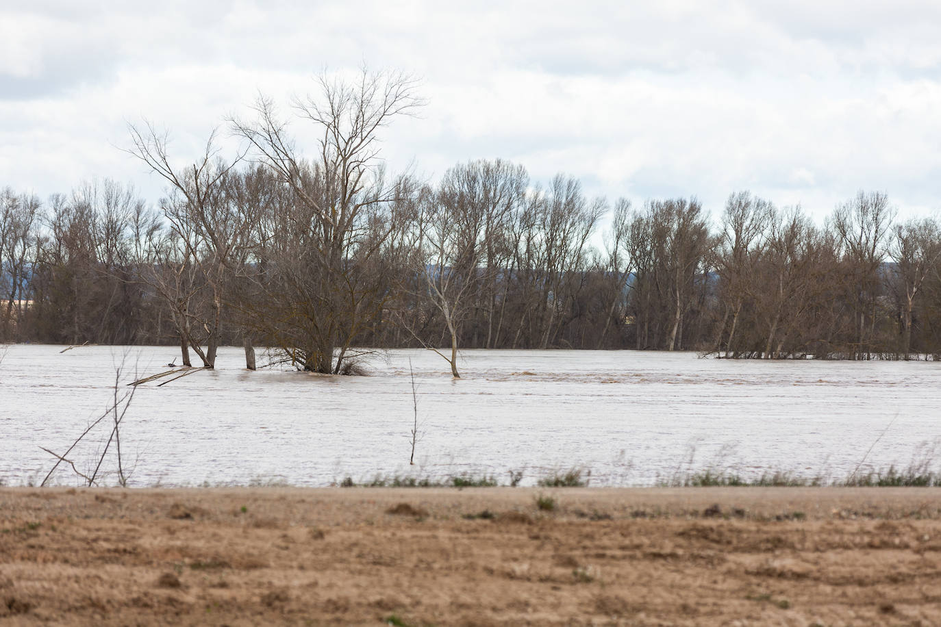 Así bajaba el Ebro por Alfaro