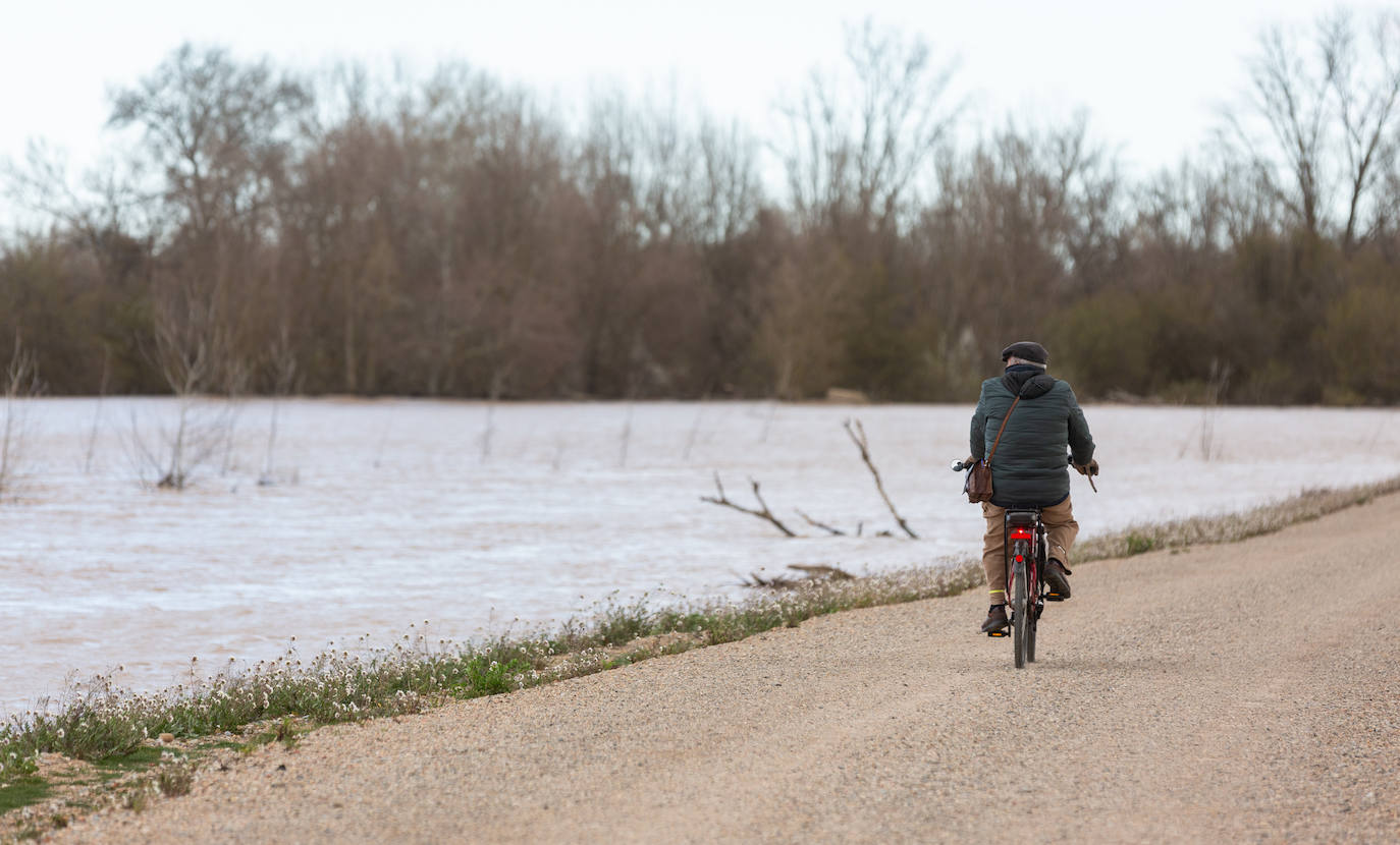 Así bajaba el Ebro por Alfaro