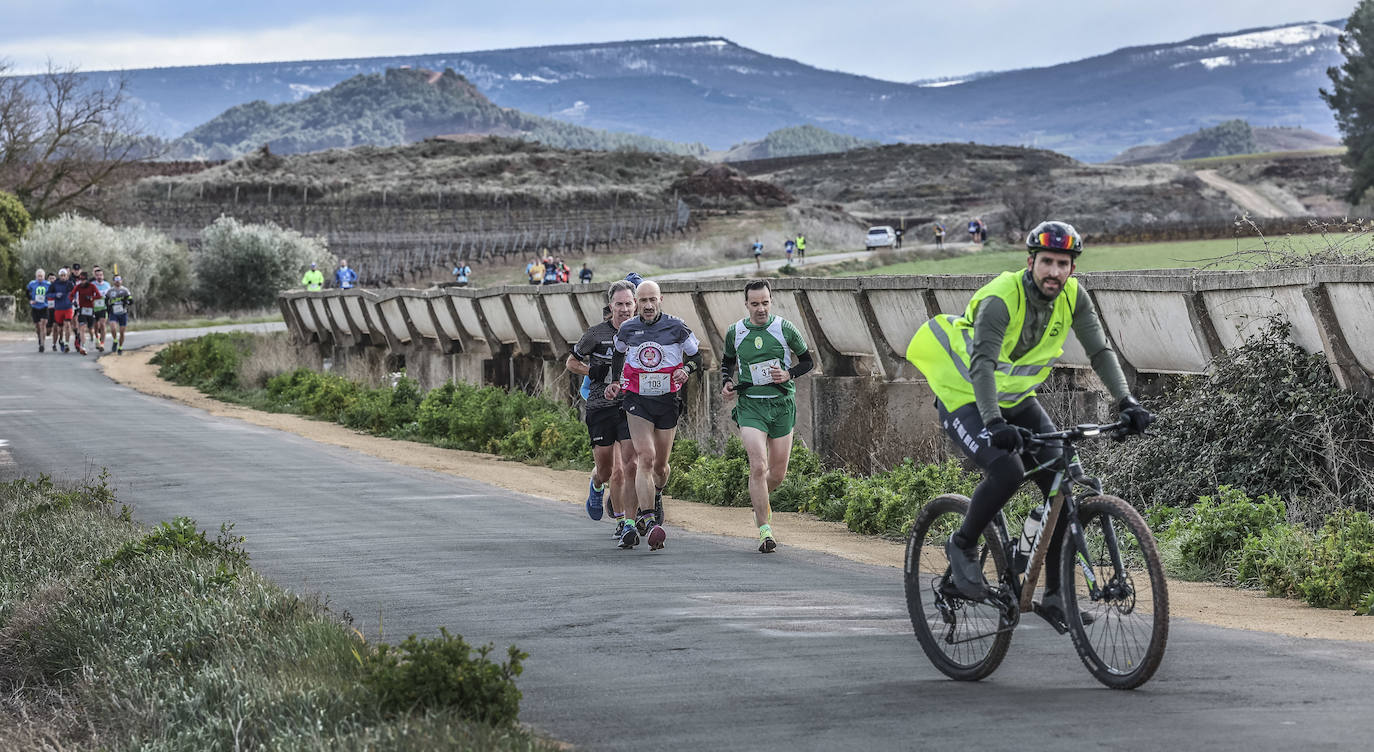 Las imágenes de la Media Maratón del Camino