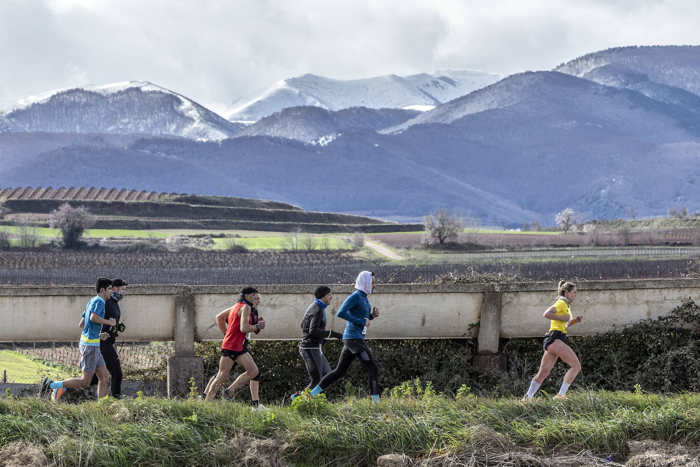 Las imágenes de la Media Maratón del Camino