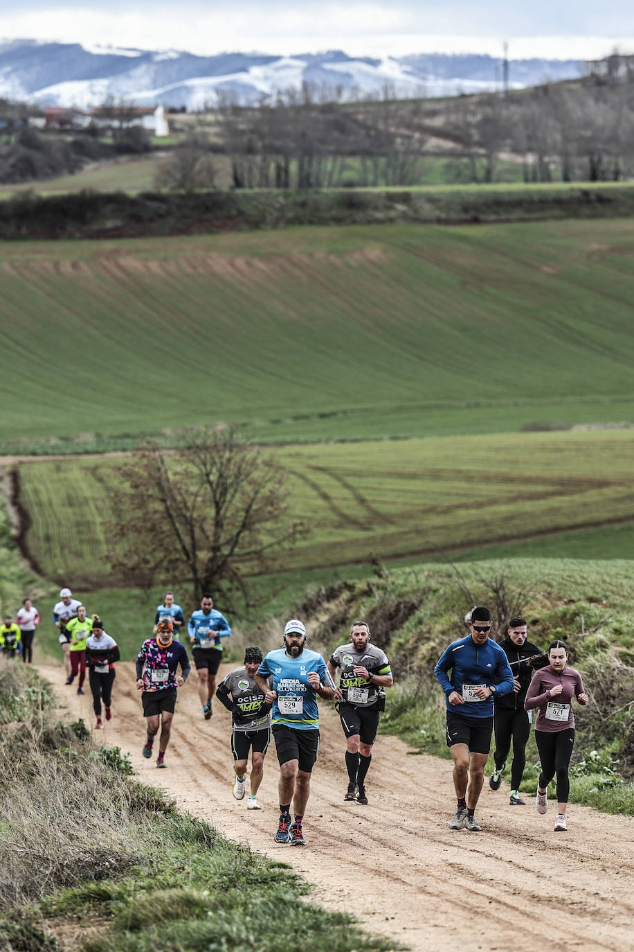 Las imágenes de la Media Maratón del Camino