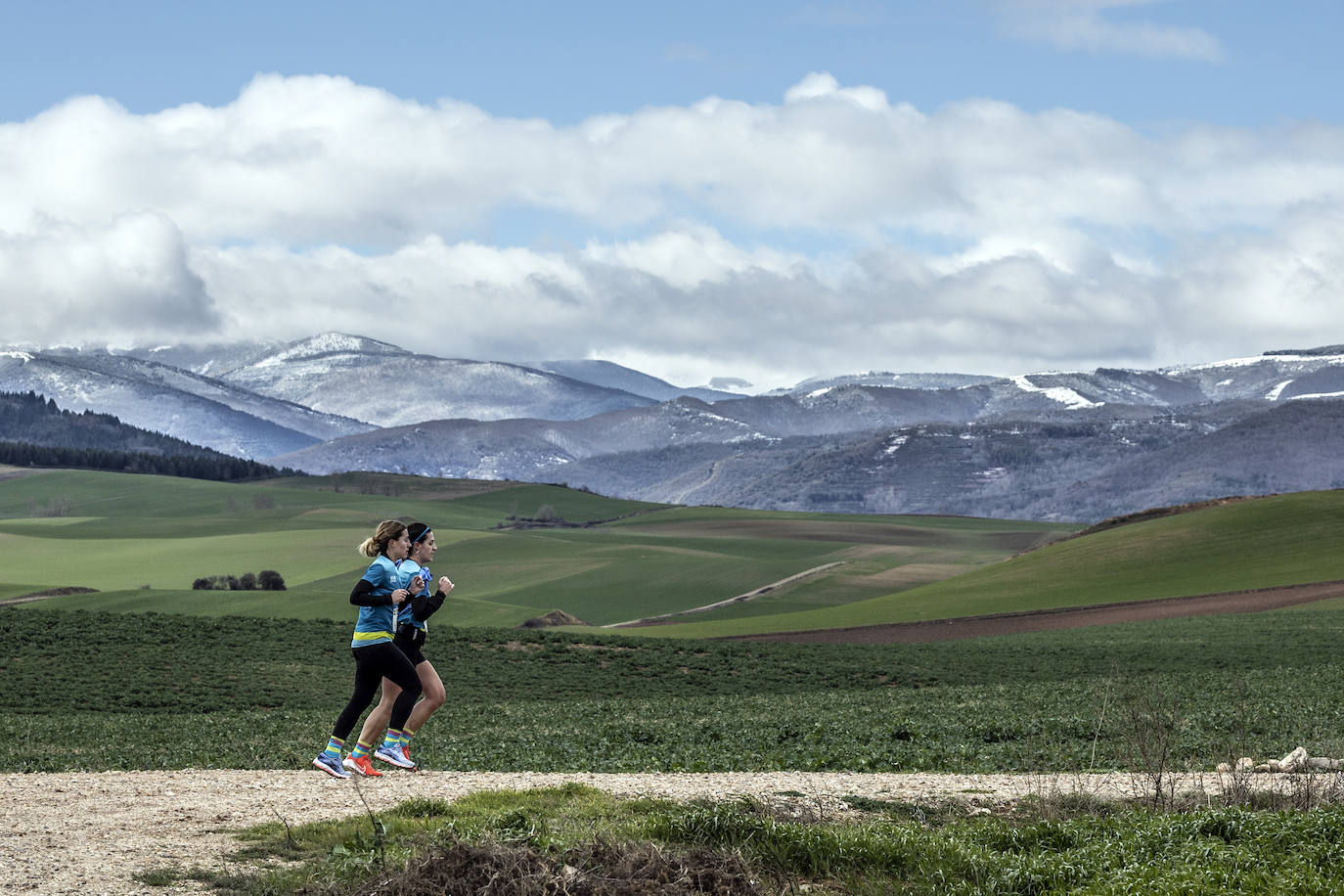 Las imágenes de la Media Maratón del Camino