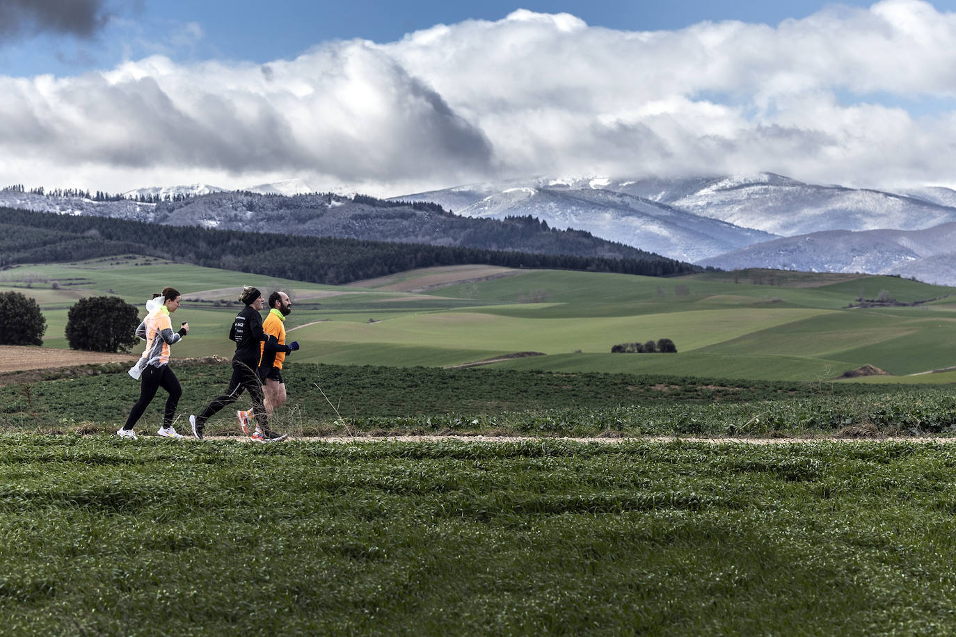Las imágenes de la Media Maratón del Camino