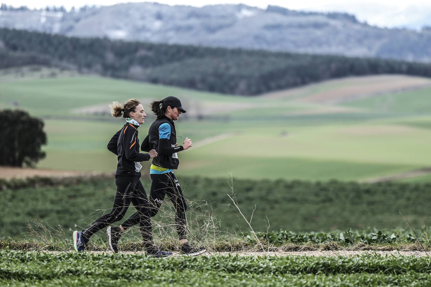 Las imágenes de la Media Maratón del Camino
