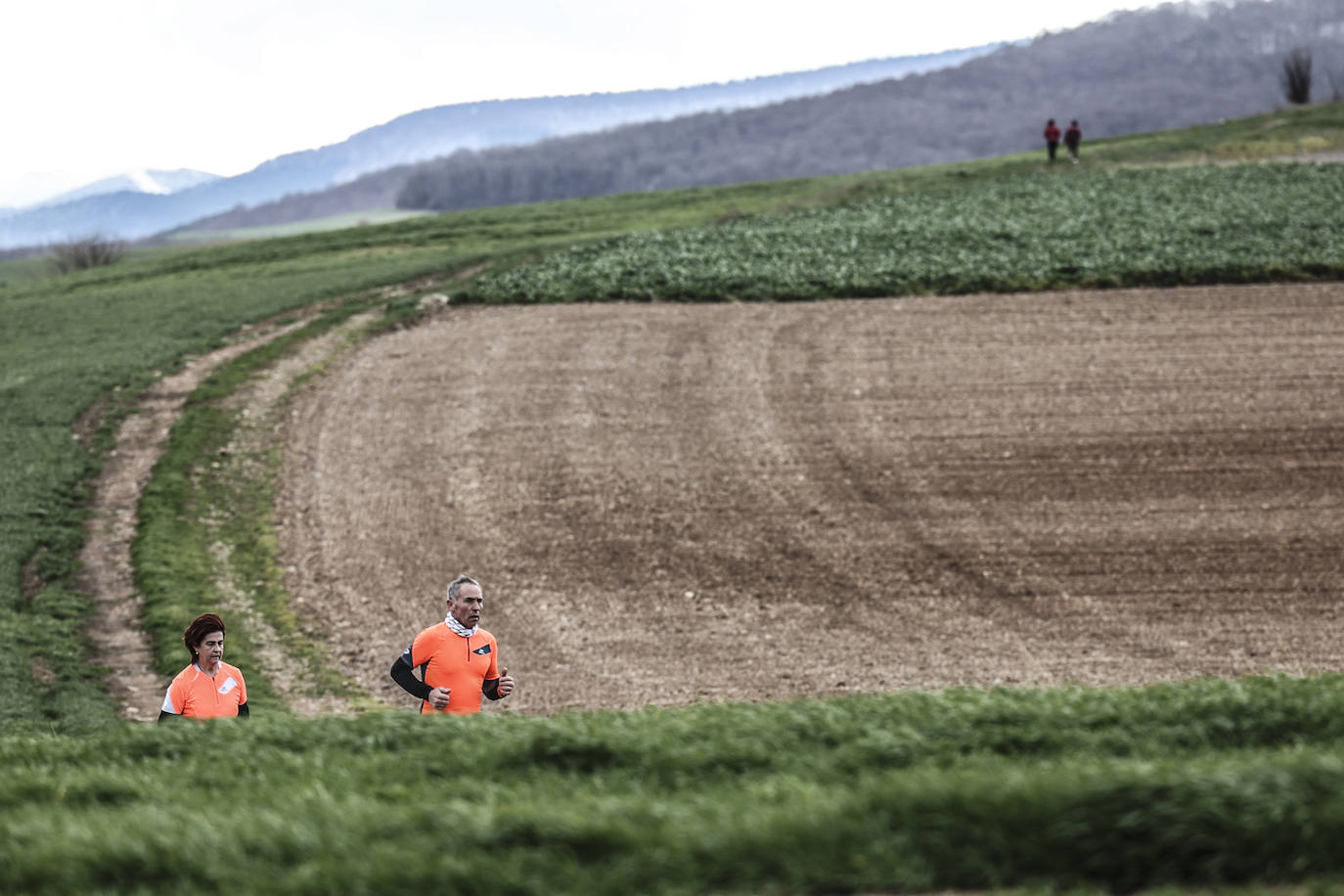 Las imágenes de la Media Maratón del Camino