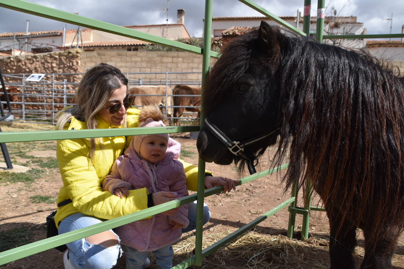 Saca de Vacas de Valverde