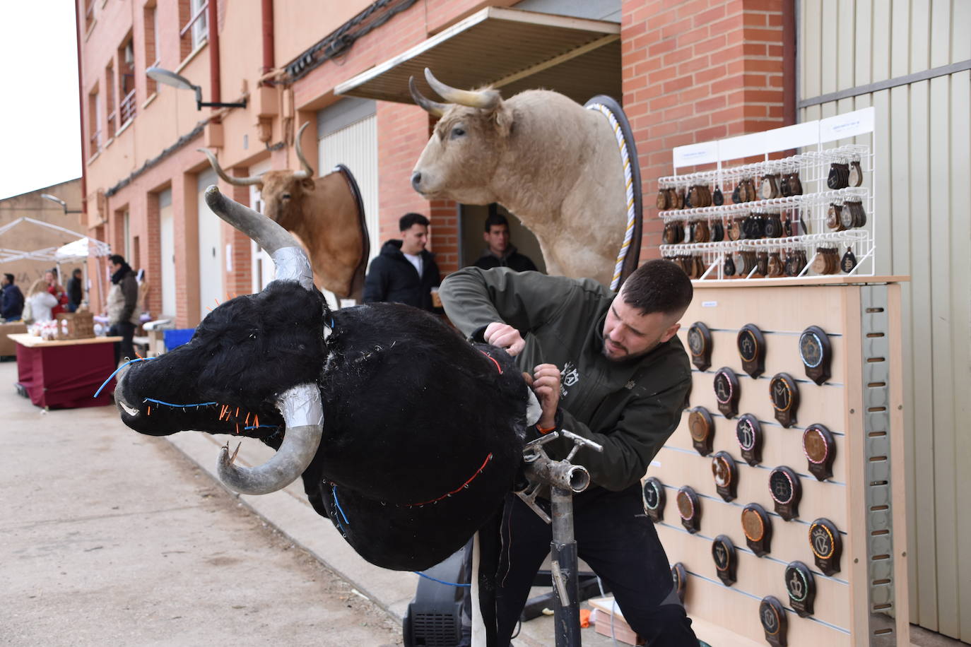 Saca de Vacas de Valverde