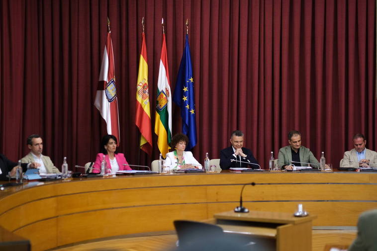 Sesión plenaria del Ayuntamiento de Logroño.