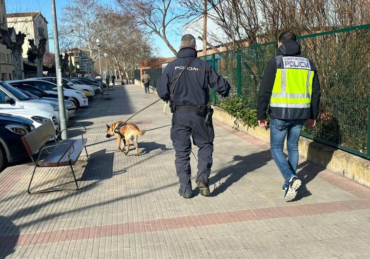 Una de las unidades caninas peinando la calle Madre de Dios.