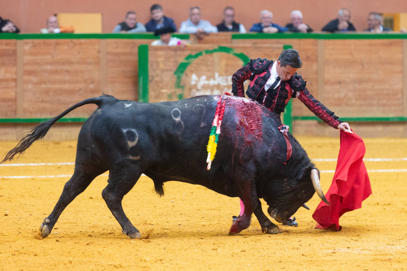 Una tarde taurina en Arnedo