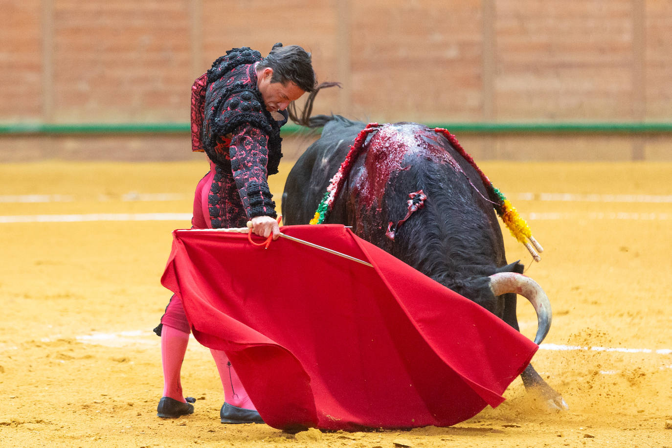 Una tarde taurina en Arnedo