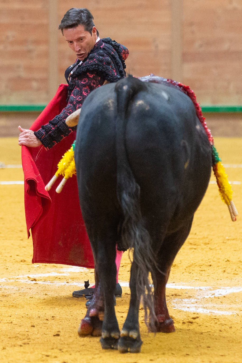 Una tarde taurina en Arnedo