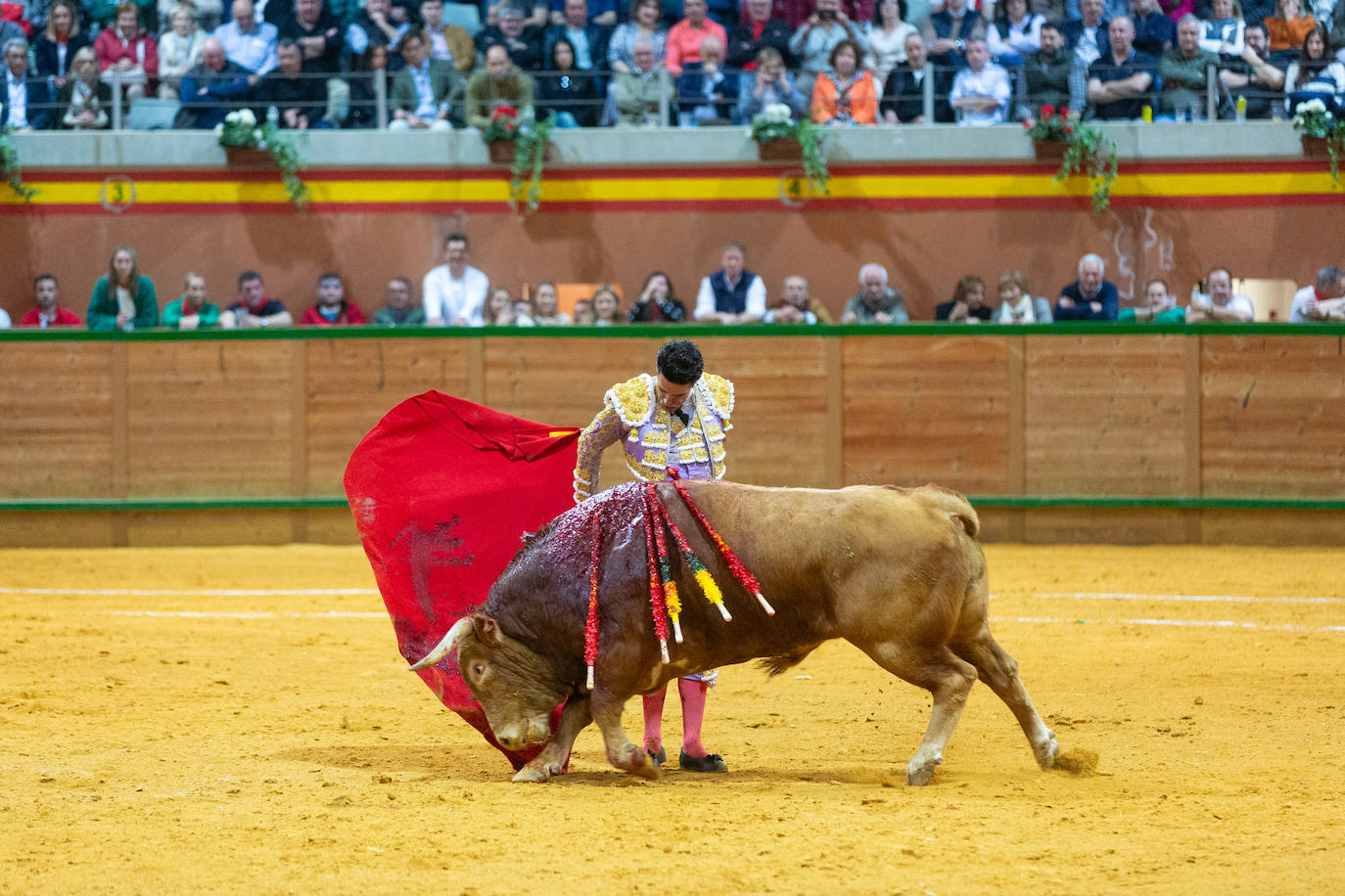 Una tarde taurina en Arnedo