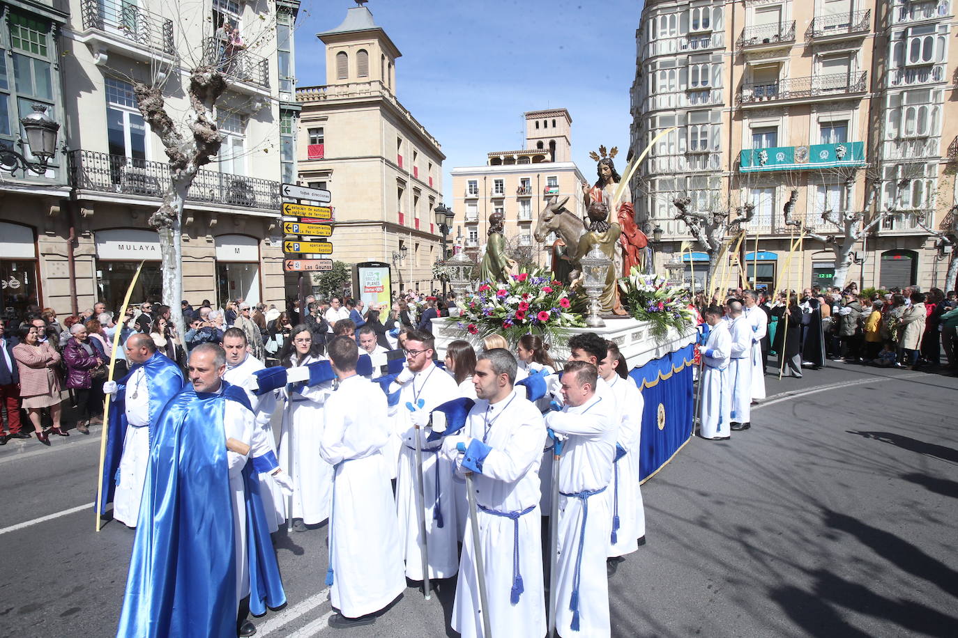 La procesión de &#039;La Borriquita&#039;, en imágenes