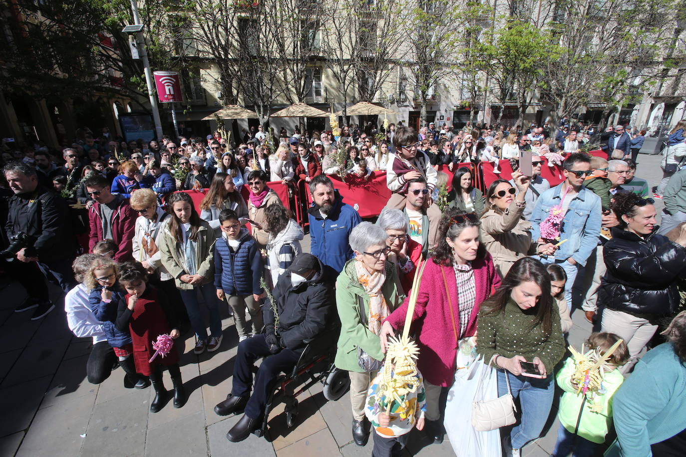 La procesión de &#039;La Borriquita&#039;, en imágenes