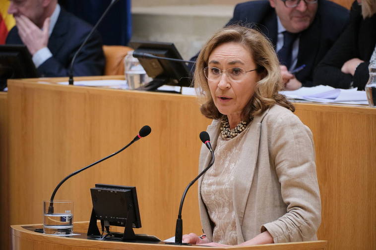 La consejera María Martín, en el Parlamento