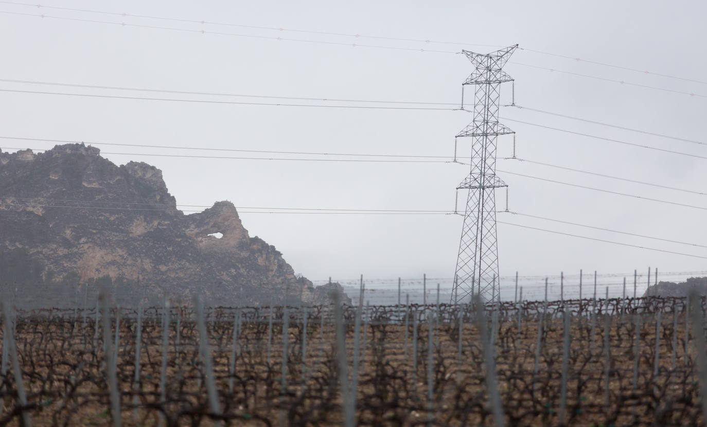 Tendidos eléctricos junto a unos viñedos en La Rioja Alta.