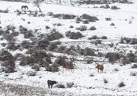 La Ibérica riojana, en aviso amarillo por nevadas