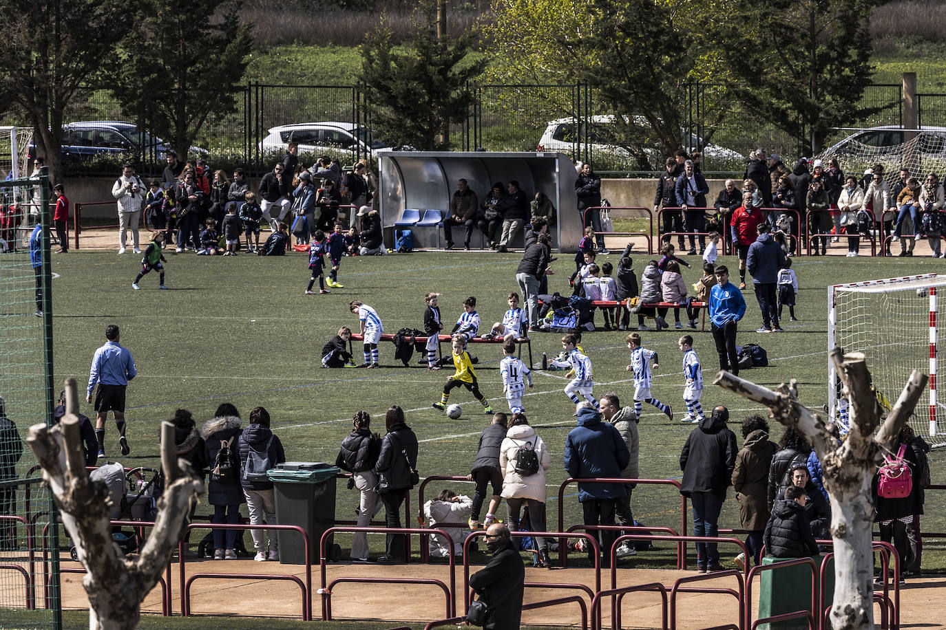 Las imágenes del torneo Laurus
