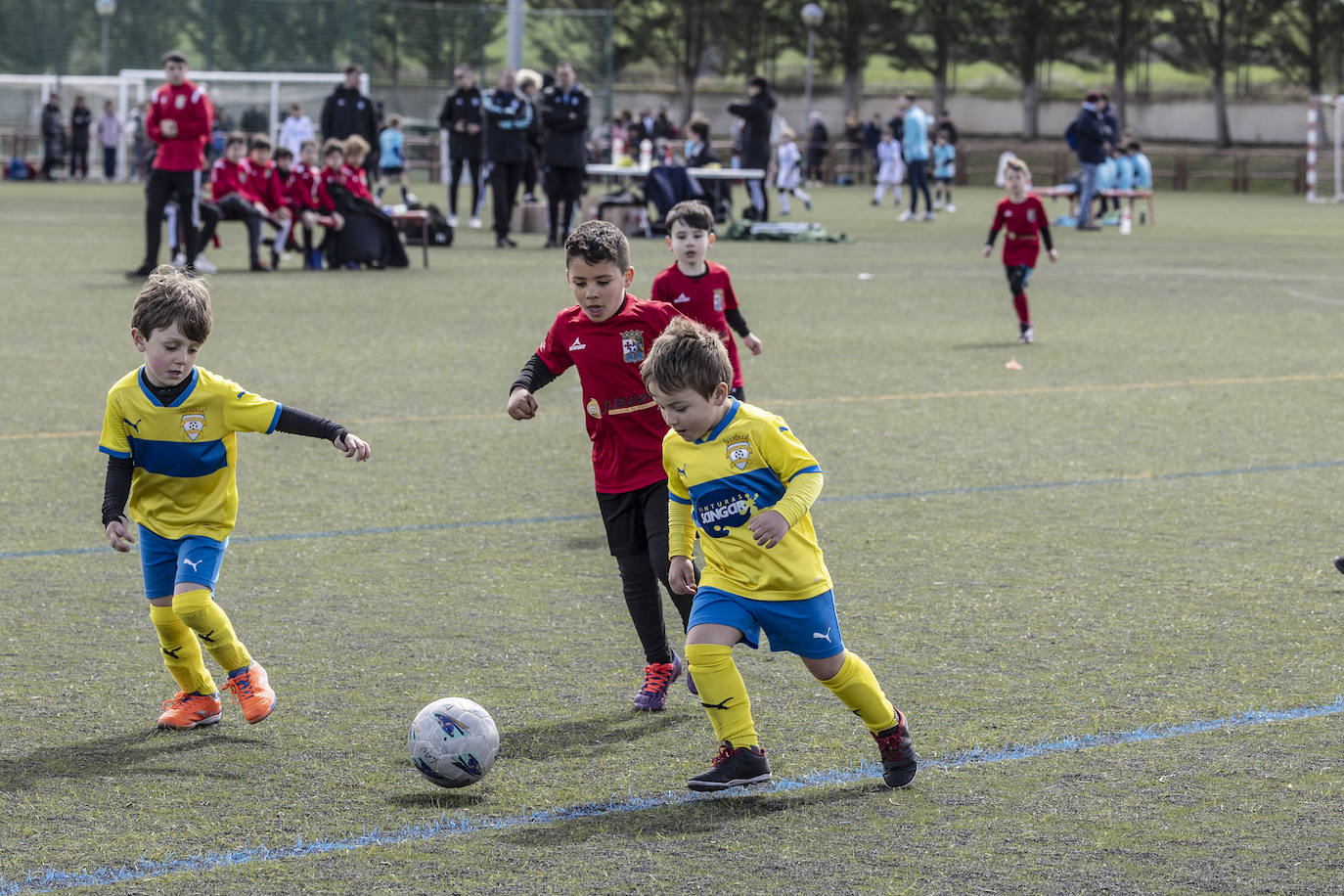 Las imágenes del torneo Laurus