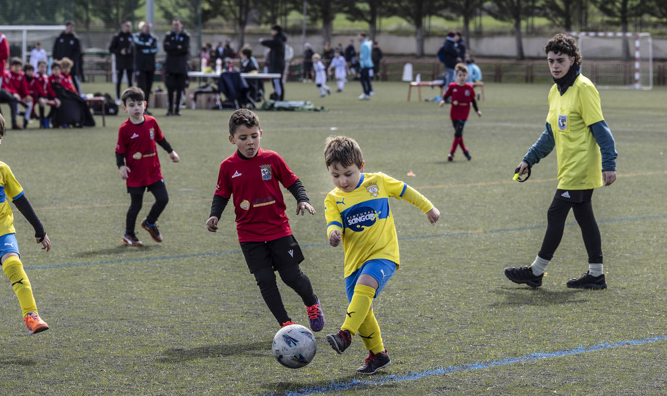 Las imágenes del torneo Laurus