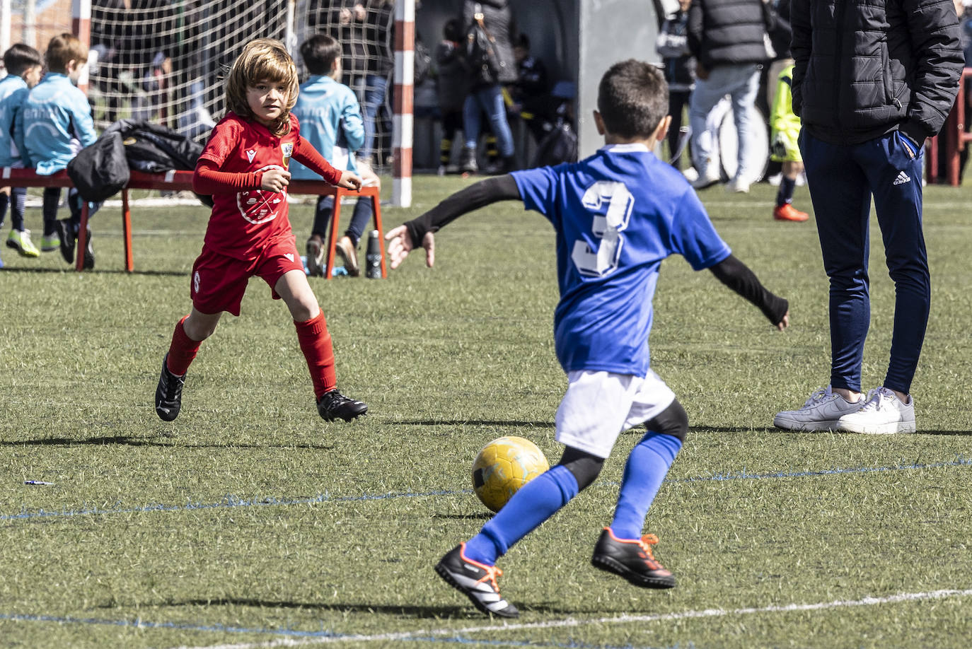 Las imágenes del torneo Laurus