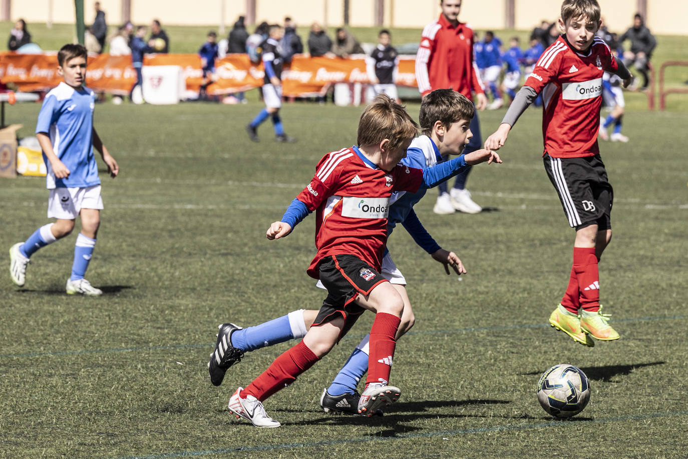 Las imágenes del torneo Laurus