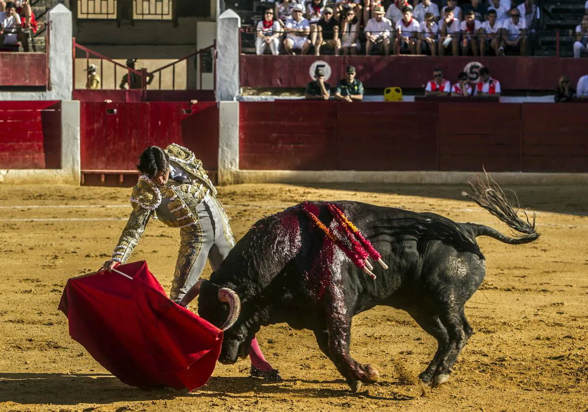 Una corrida a pie, otra de rejones y una novillada, la oferta taurina de  las fiestas de agosto de Calahorra | La Rioja