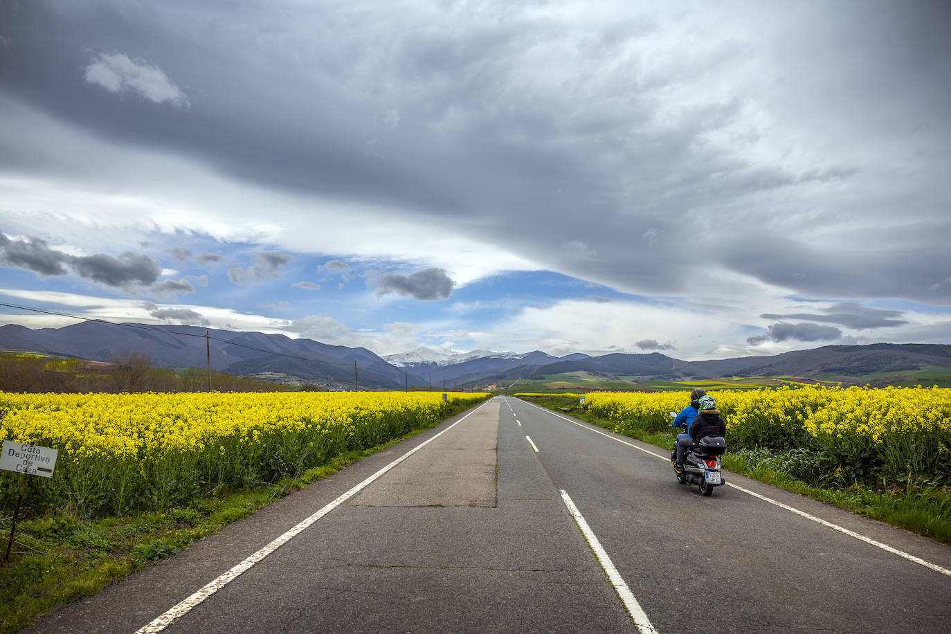 Carretera entre Badarán y Berceo