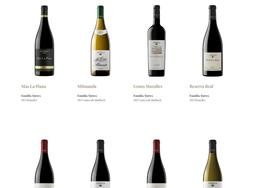 Algunos de los vinos de Torres