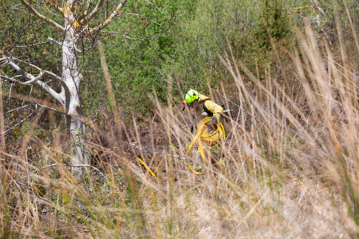 Las imágenes del simulacro de incendio forestal