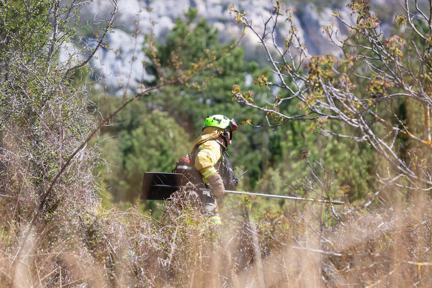 Las imágenes del simulacro de incendio forestal