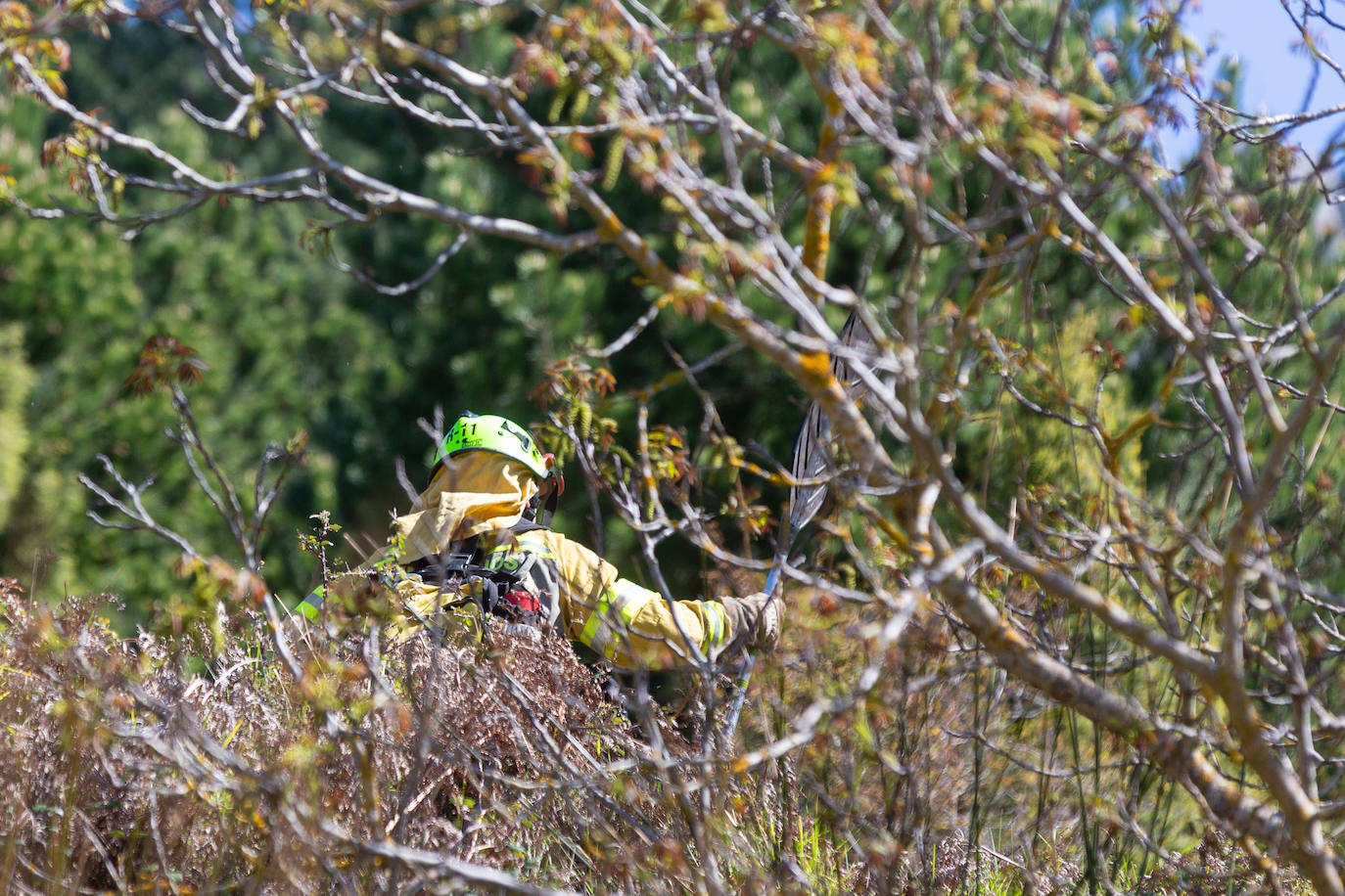 Las imágenes del simulacro de incendio forestal