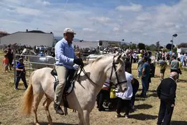Gran ferial del ganado equino de Rincón de Soto, en 2023.